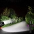 6.webp