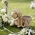 4.webp