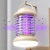 14.webp