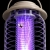15.webp