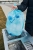 16.webp