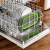 h.webp