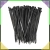 4.webp
