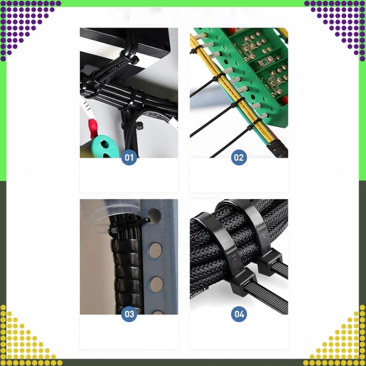 6.webp