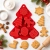 14.webp