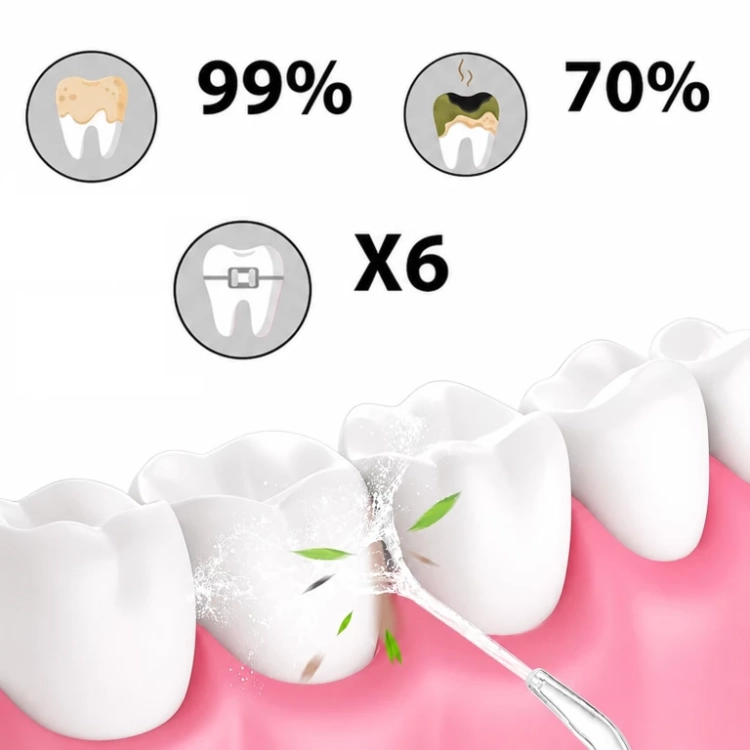 5.webp