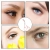 4.webp