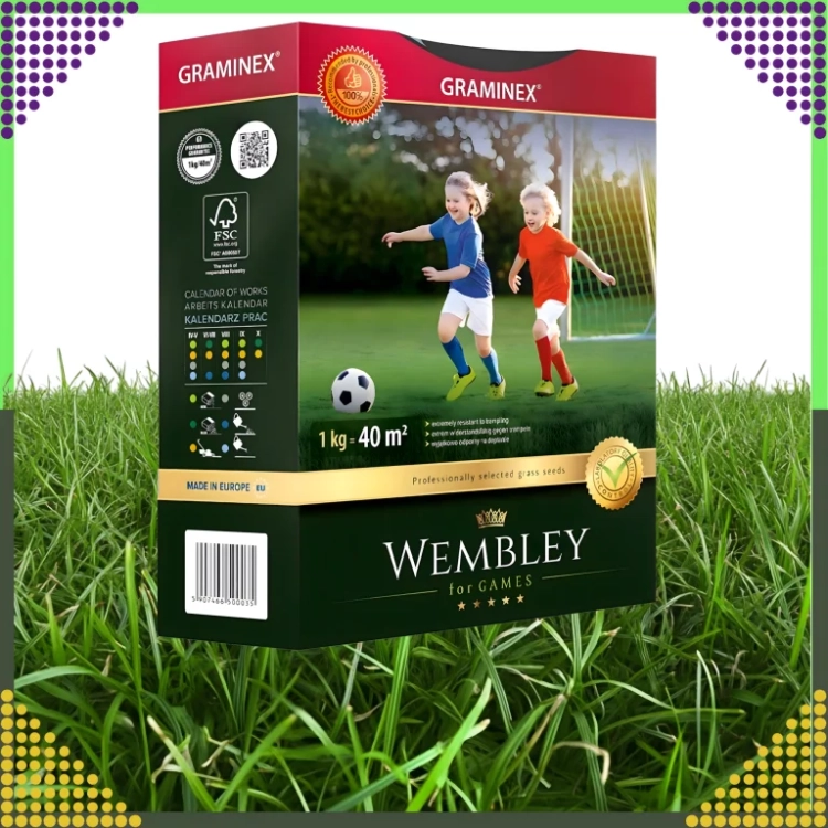 3.webp