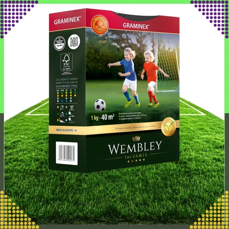 5.webp