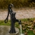 h.webp