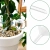 14.webp