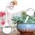 15.webp