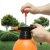 16.webp