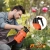 20.webp