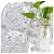 11.webp