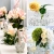 15.webp