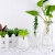 16.webp