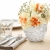 17.webp