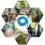 5.webp