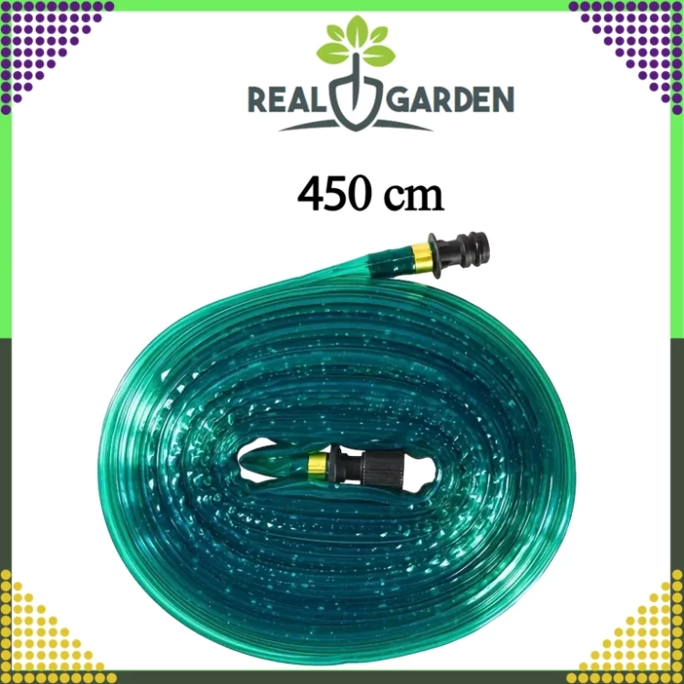 14.webp