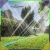 16.webp
