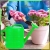 14.webp