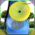 d.webp