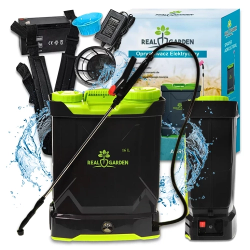 a.webp