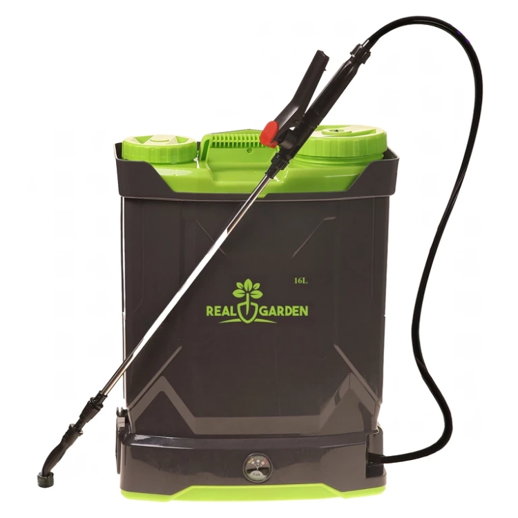 c.webp