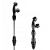 5.webp