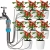 12.webp