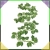 c.webp