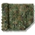 12.webp
