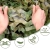 13.webp