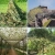 14.webp