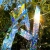 10.webp