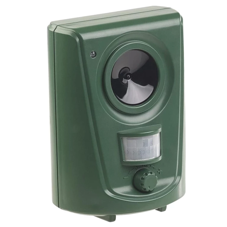 3.webp