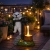 h.webp