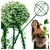 1.webp