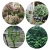 5.webp