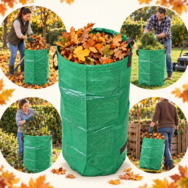 g.webp