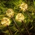 7.webp