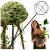 11.webp