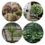 14.webp