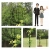 16.webp