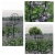 17.webp