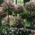 18.webp