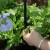 20.webp