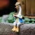 d.webp