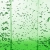 8.webp